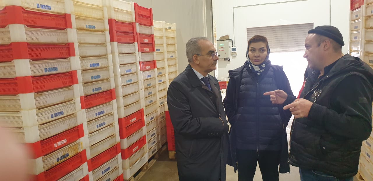 Нариман Абдулмуталибов ознакомился с работой рыбного предприятия ООО «Союзрыбпром»